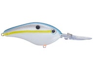Sexy Shad