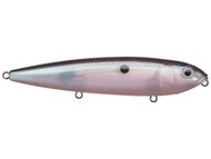 Green Gizzard Shad