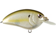 Clear Chartreuse
