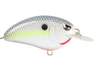 Nasty Shad