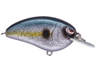 Sparkle Shad