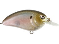 Spooky Shad