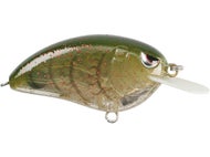Watermlon Red Craw
