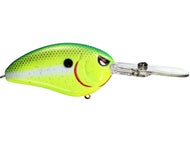 Chartreuse Nasty