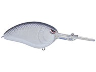 Lavender Shad