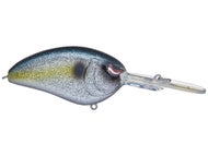 Sparkle Shad