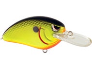 Chartreuse Black Back