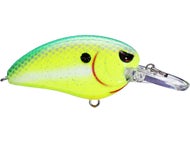 Chartreuse Nasty