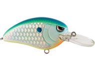 Citrus Shad