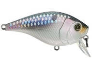6th Sense Bait Finesse Baits