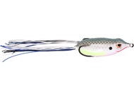Nasty Shad