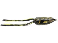 Rainforest Black