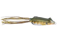 Bluegill