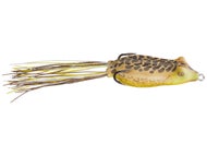 New Bullfrog