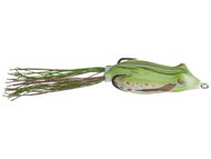Pine Frog