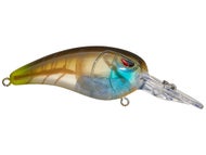 Clear Gill