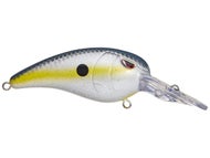 Nasty Shad