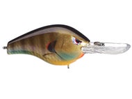 Blue Gill