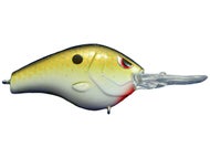 Copper Shad