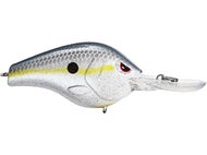 Nasty Shad
