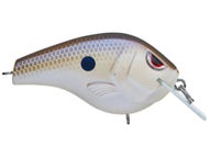 Natural Herring