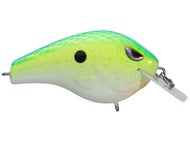 Tropical Shad