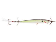 Nasty Shad