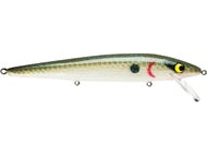 Avocado Shad