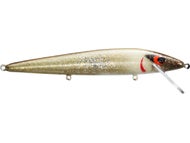 Golden Shiner
