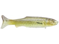 Leurre De Pêche Signal Ultra Carp Version 2 Kohoku Special Swimbait 15inch - Made In Japan