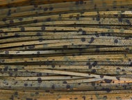 Skirts Unlimited Speckled Skirts 10pk - Image 4