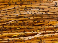 Skirts Unlimited Speckled Skirts 10pk - Image 7