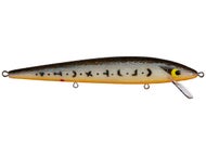 Sunbeam Golden Bass