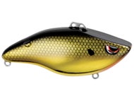 Black Back Gold