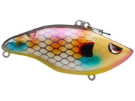 Blue Gill