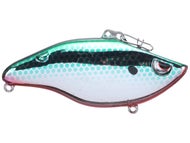 Green Tennessee Shad