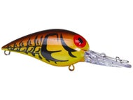 Orange Brown Craw