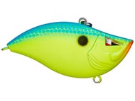 Chartreuse Blue Back