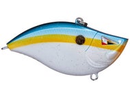 Sexy Shad