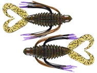 Clearance Creatures