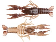 Golden Craw