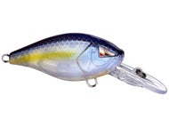 Ghost Sexy Shad