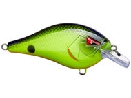 Chartreuse Black Back