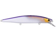 Horned Minnow