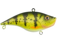 Yellow Perch