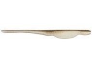 Gizzard Shad