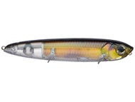 Real Golden Shiner