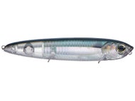 Real Gizzard Shad