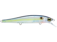 Ghost Sexy Shad