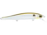 Gizzard Shad